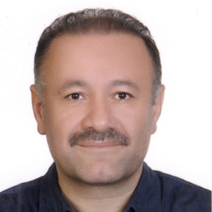 Кяреми Хади (Генеральный директор - компания Kaveh Port and Marine Services)