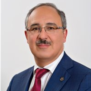 Suren Vardanyan (Vice-President at Union "Moscow Chamber of Commerce and Industry")