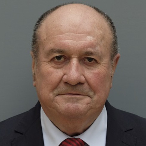 Воздвиженский Валерий Владимирович (Исполнительный директор Делового совета Россия-Нигерия)